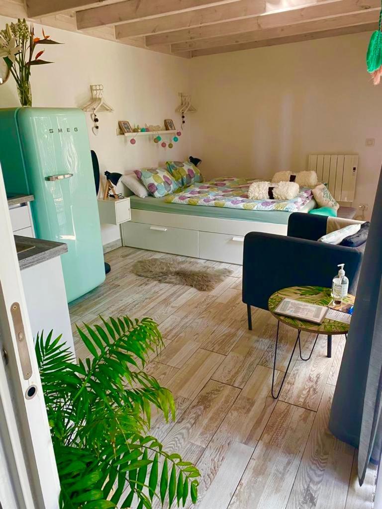 Jedey Estudio Lissy מראה חיצוני תמונה